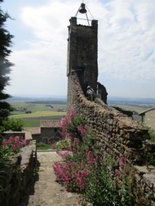 les activités de la région